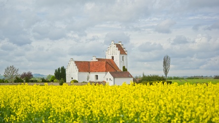  DSC0153